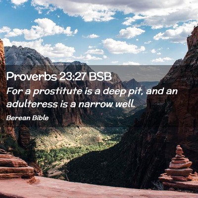Picture 02 - Proverbs 23:27 BSB - For a prostitute is a deep pit, and an adulteress - Bible Verse Picture