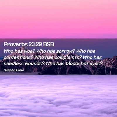 Picture 02 - Proverbs 23:29 BSB - Who has woe? Who has sorrow? Who has contentions? - Bible Verse Picture