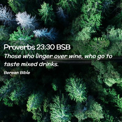 Picture 02 - Proverbs 23:30 BSB - Those who linger over wine, who go to taste mixed - Bible Verse Picture