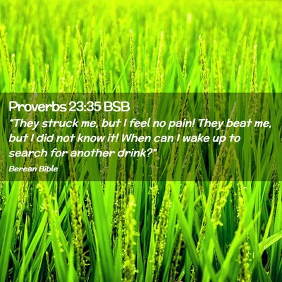 Picture 02 - Proverbs 23:35 BSB - “They struck me, but I feel no pain! They beat - Bible Verse Picture