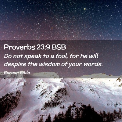 Picture 02 - Proverbs 23:9 BSB - Do not speak to a fool, for he will despise the - Bible Verse Picture