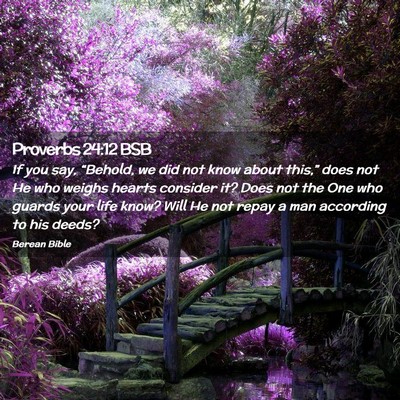 Picture 02 - Proverbs 24:12 BSB - If you say, “Behold, we did not know about - Bible Verse Picture