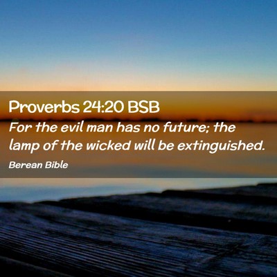 Picture 02 - Proverbs 24:20 BSB - For the evil man has no future; the lamp of the - Bible Verse Picture