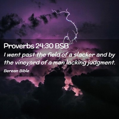 Picture 02 - Proverbs 24:30 BSB - I went past the field of a slacker and by the - Bible Verse Picture