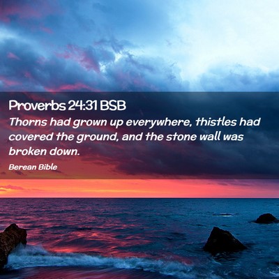 Picture 02 - Proverbs 24:31 BSB - Thorns had grown up everywhere, thistles had - Bible Verse Picture