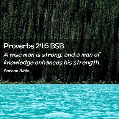 Picture 02 - Proverbs 24:5 BSB - A wise man is strong, and a man of knowledge - Bible Verse Picture