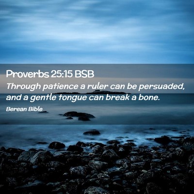 Picture 02 - Proverbs 25:15 BSB - Through patience a ruler can be persuaded, and a - Bible Verse Picture