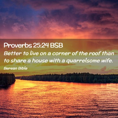 Picture 02 - Proverbs 25:24 BSB - Better to live on a corner of the roof than to - Bible Verse Picture