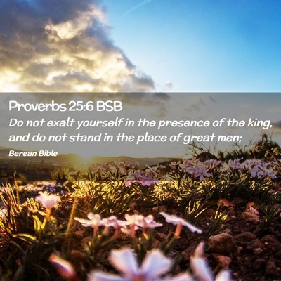Picture 02 - Proverbs 25:6 BSB - Do not exalt yourself in the presence of the - Bible Verse Picture