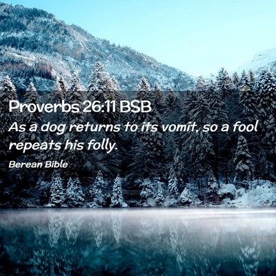 Picture 02 - Proverbs 26:11 BSB - As a dog returns to its vomit, so a fool repeats - Bible Verse Picture
