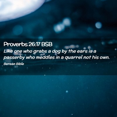 Picture 02 - Proverbs 26:17 BSB - Like one who grabs a dog by the ears is a - Bible Verse Picture