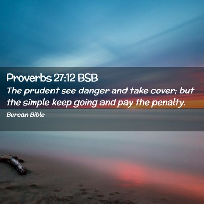 Picture 02 - Proverbs 27:12 BSB - The prudent see danger and take cover; but the - Bible Verse Picture