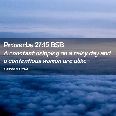 Picture 02 - Proverbs 27:15 BSB - A constant dripping on a rainy day and a - Bible Verse Picture