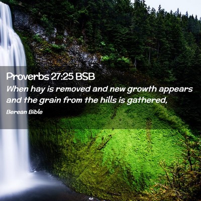 Picture 02 - Proverbs 27:25 BSB - When hay is removed and new growth appears and - Bible Verse Picture