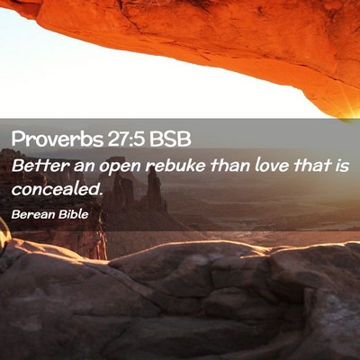 Picture 02 - Proverbs 27:5 BSB - Better an open rebuke than love that is - Bible Verse Picture