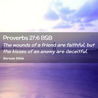 Picture 02 - Proverbs 27:6 BSB - The wounds of a friend are faithful, but the - Bible Verse Picture