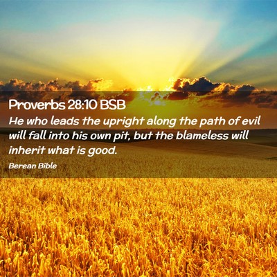 Picture 02 - Proverbs 28:10 BSB - He who leads the upright along the path of evil - Bible Verse Picture