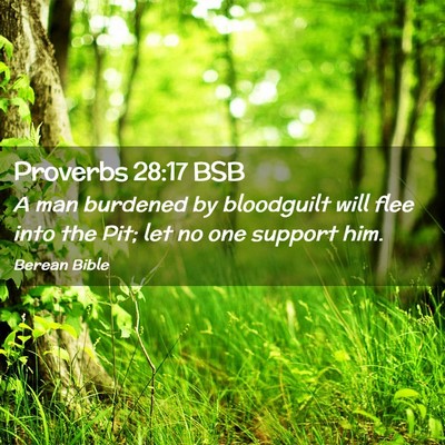 Picture 02 - Proverbs 28:17 BSB - A man burdened by bloodguilt will flee into the - Bible Verse Picture