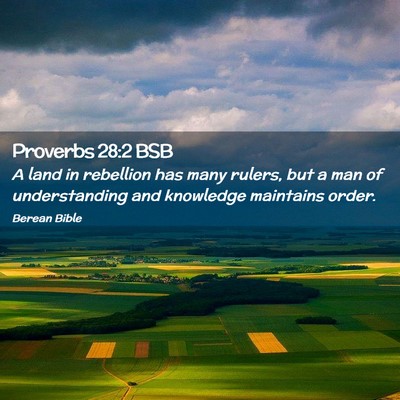 Picture 02 - Proverbs 28:2 BSB - A land in rebellion has many rulers, but a man of - Bible Verse Picture