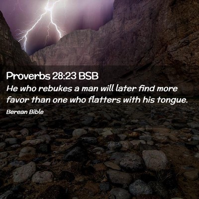 Picture 02 - Proverbs 28:23 BSB - He who rebukes a man will later find more favor - Bible Verse Picture
