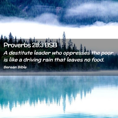Picture 02 - Proverbs 28:3 BSB - A destitute leader who oppresses the poor is like - Bible Verse Picture