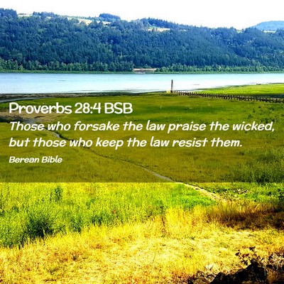 Picture 02 - Proverbs 28:4 BSB - Those who forsake the law praise the wicked, but - Bible Verse Picture