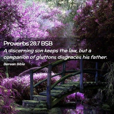Picture 02 - Proverbs 28:7 BSB - A discerning son keeps the law, but a companion - Bible Verse Picture