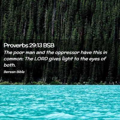 Picture 02 - Proverbs 29:13 BSB - The poor man and the oppressor have this in - Bible Verse Picture