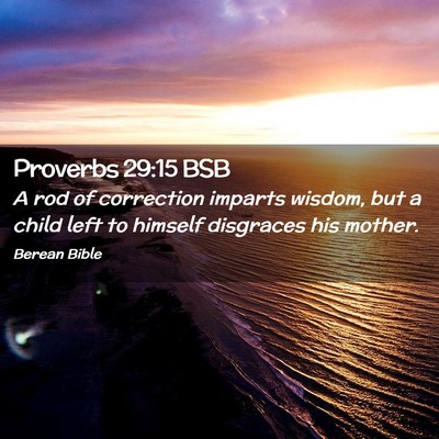 Picture 02 - Proverbs 29:15 BSB - A rod of correction imparts wisdom, but a child - Bible Verse Picture
