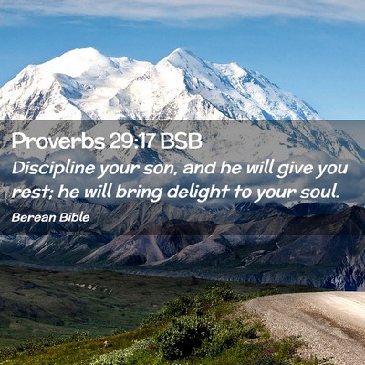 Picture 02 - Proverbs 29:17 BSB - Discipline your son, and he will give you rest; - Bible Verse Picture