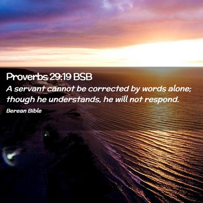 Picture 02 - Proverbs 29:19 BSB - A servant cannot be corrected by words alone; - Bible Verse Picture