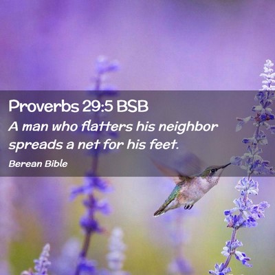 Picture 02 - Proverbs 29:5 BSB - A man who flatters his neighbor spreads a net for - Bible Verse Picture