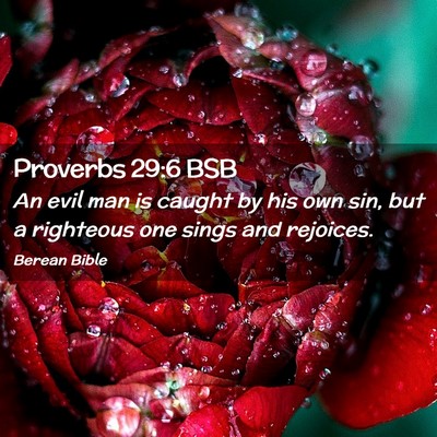 Picture 02 - Proverbs 29:6 BSB - An evil man is caught by his own sin, but a - Bible Verse Picture