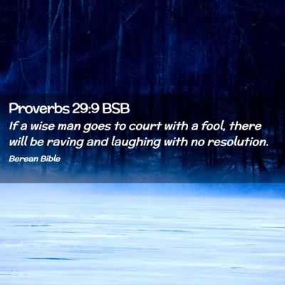 Picture 02 - Proverbs 29:9 BSB - If a wise man goes to court with a fool, there - Bible Verse Picture