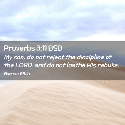 Picture 02 - Proverbs 3:11 BSB - My son, do not reject the discipline of the LORD, - Bible Verse Picture