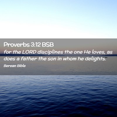 Picture 02 - Proverbs 3:12 BSB - for the LORD disciplines the one He loves, as - Bible Verse Picture