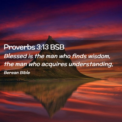 Picture 02 - Proverbs 3:13 BSB - Blessed is the man who finds wisdom, the man who - Bible Verse Picture