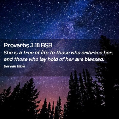 Picture 02 - Proverbs 3:18 BSB - She is a tree of life to those who embrace her, - Bible Verse Picture