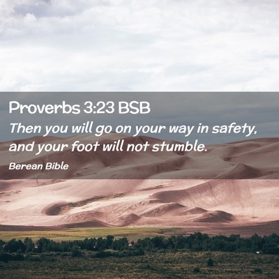 Picture 02 - Proverbs 3:23 BSB - Then you will go on your way in safety, and your - Bible Verse Picture