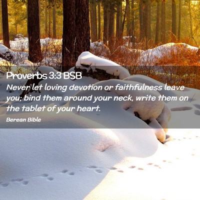 Picture 02 - Proverbs 3:3 BSB - Never let loving devotion or faithfulness leave - Bible Verse Picture