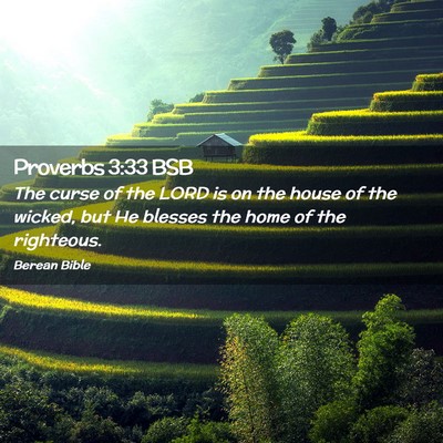 Picture 02 - Proverbs 3:33 BSB - The curse of the LORD is on the house of the - Bible Verse Picture