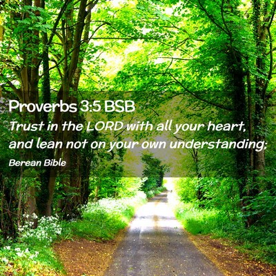 Picture 02 - Proverbs 3:5 BSB - Trust in the LORD with all your heart, and lean - Bible Verse Picture