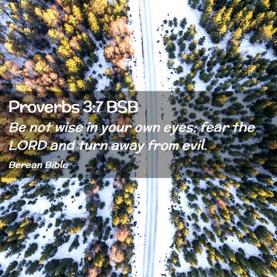 Picture 02 - Proverbs 3:7 BSB - Be not wise in your own eyes; fear the LORD and - Bible Verse Picture