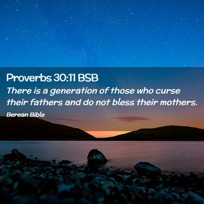 Picture 02 - Proverbs 30:11 BSB - There is a generation of those who curse their - Bible Verse Picture