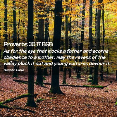 Picture 02 - Proverbs 30:17 BSB - As for the eye that mocks a father and scorns - Bible Verse Picture
