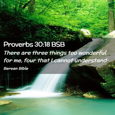 Picture 02 - Proverbs 30:18 BSB - There are three things too wonderful for me, four - Bible Verse Picture