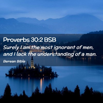 Picture 02 - Proverbs 30:2 BSB - Surely I am the most ignorant of men, and I lack - Bible Verse Picture