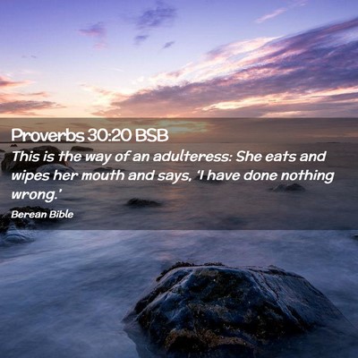 Picture 02 - Proverbs 30:20 BSB - This is the way of an adulteress: She eats and - Bible Verse Picture