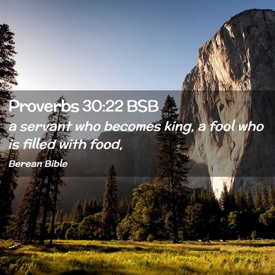 Picture 02 - Proverbs 30:22 BSB - a servant who becomes king, a fool who is filled - Bible Verse Picture