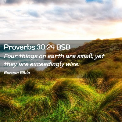Picture 02 - Proverbs 30:24 BSB - Four things on earth are small, yet they are - Bible Verse Picture